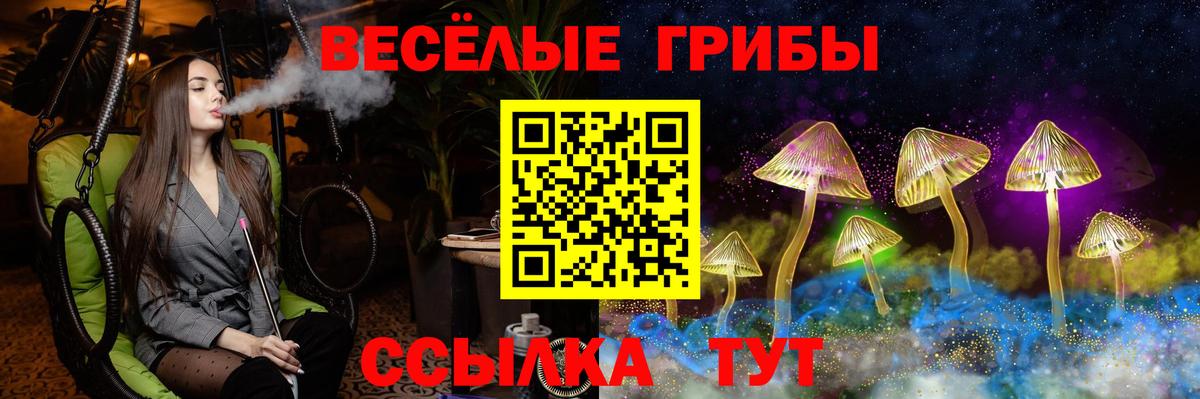 Галлюциногенные грибы Psilocybe Гудермес